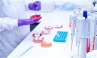 Công nghệ sinh học sản xuất Nấm Sinh Khối Dạng Sợi (Mầm)